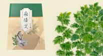 【行業(yè)資訊】國內(nèi)首部艾草專著《南陽艾》，在南陽新書首發(fā)！